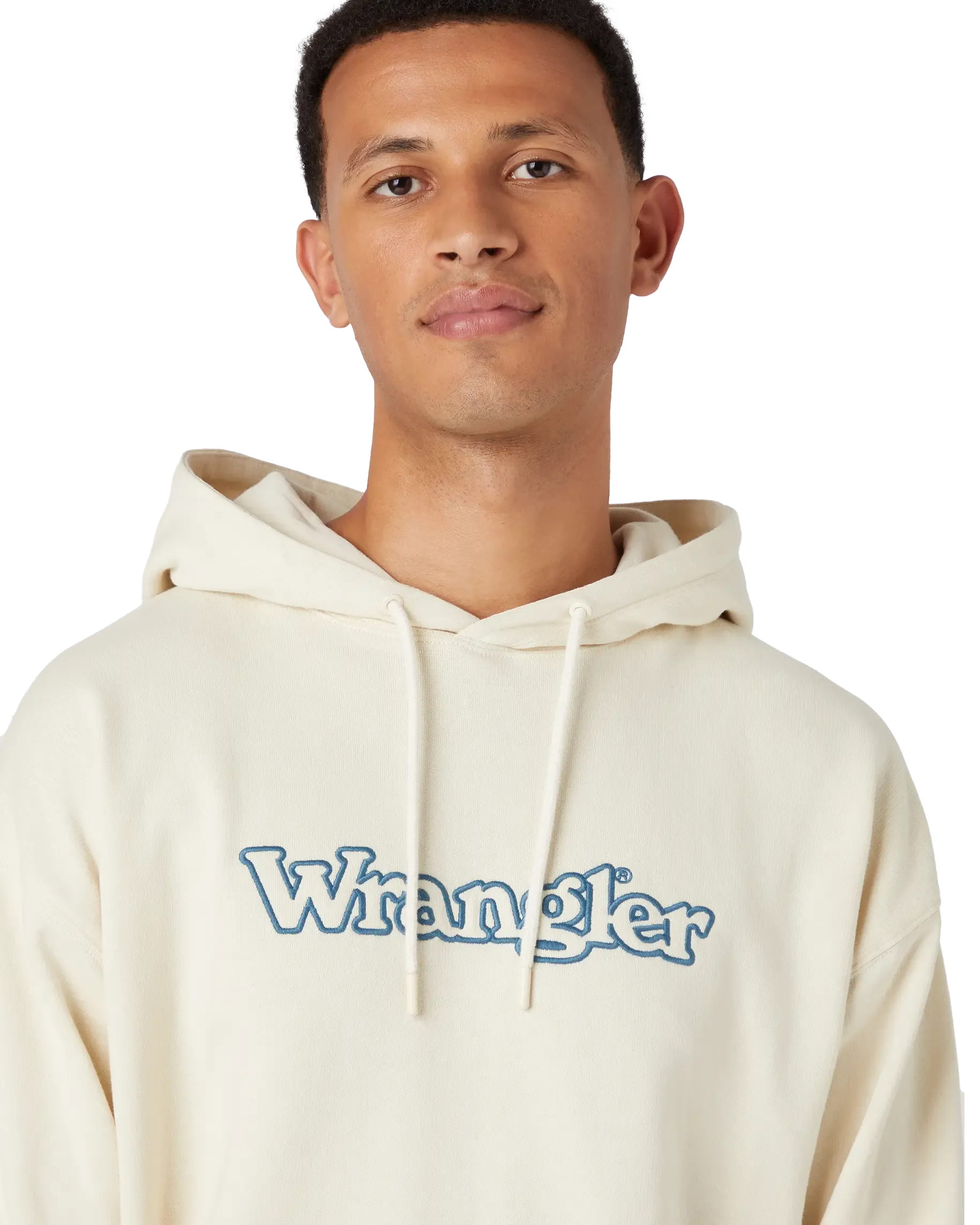 Graphic Hoodie in Turtledove